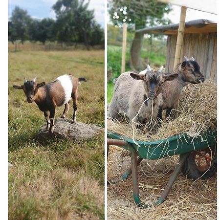 Le Domaine De La Petite Chevre Villa Ploumagoar Eksteriør billede