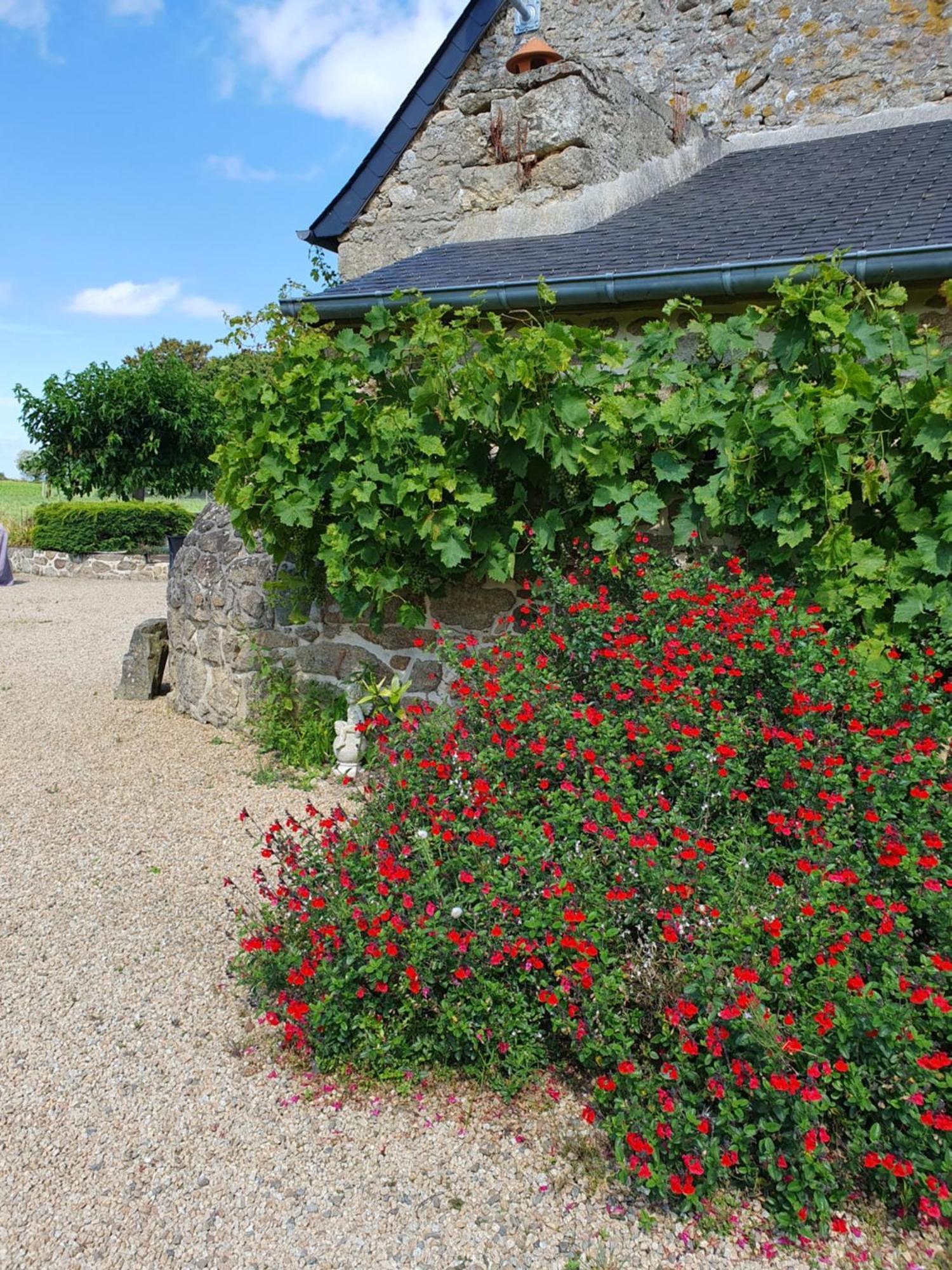 Le Domaine De La Petite Chevre Villa Ploumagoar Eksteriør billede